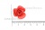 Украшение "Розы малые №1" 20мм - купить в Северодвинске. Цена: 32.49 руб.