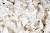 Тесьма плетеная "Рюш" с жемугом №2 (уп.13 м), цв.-молочный  - купить в Северодвинске. Цена: 46.82 руб.