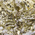 Трикотажное полотно, Сетка с пайетками, шир.130 см, #315, цв.-белый/золото - купить в Северодвинске. Цена 693.39 руб.