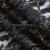 Кружевное полотно XD LACE 1-4, 80 гр/м2, шир.150см, цвет чёрный - купить в Северодвинске. Цена 245.94 руб.