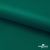 Ткань подкладочная Таффета, 19-5420, 53 г/м2, антистатик, шир. 150 см, вечнозеленый - купить в Северодвинске. Цена 57.16 руб.