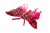 Бабочка декоративная пластиковая #10 - купить в Северодвинске. Цена: 7.09 руб.