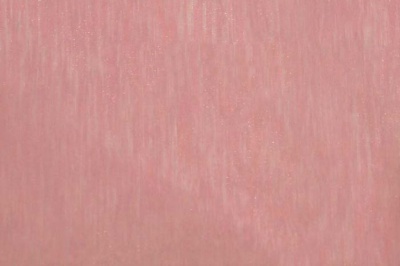 Органза однотонная "Амелия" С19 (Розовый) 280 см - купить в Северодвинске. Цена 303.09 руб.