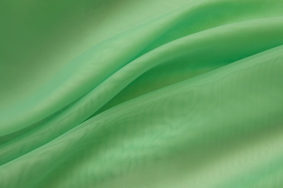 Портьерный капрон 15-6123, 47 гр/м2, шир.300см, цвет св.зелёный - купить в Северодвинске. Цена 137.27 руб.