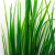 Трава искусственная -2, шт (осока 41см/8 см)				 - купить в Северодвинске. Цена: 104.57 руб.