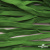 Шнур плетеный (плоский) d-12 мм, (уп.90+/-1м), 100% полиэстер, цв.260 - зел.трава - купить в Северодвинске. Цена: 8.62 руб.