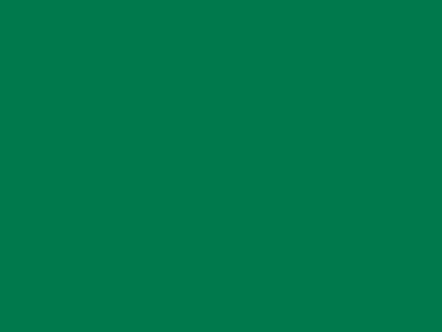 85 см № 258 яр. зеленый спираль (G) сорт-2 - купить в Северодвинске. Цена: 16.97 руб.