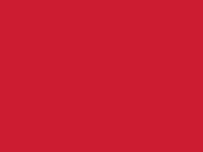 Сетка подкладочная красный, 60г/м2 (10 м/кг) - купить в Северодвинске. Цена 894.77 руб.