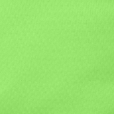 Ткань подкладочная Таффета 15-0545, антист., 53 гр/м2, шир.150см, цвет салат - купить в Северодвинске. Цена 57.16 руб.