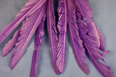 Декоративный Пучок из перьев, перо 25см/фиолетовый - купить в Северодвинске. Цена: 12.19 руб.