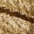 Сетка с пайетками №3, 188 гр/м2, шир.140см, цвет золотой - купить в Северодвинске. Цена 454.12 руб.
