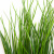 Трава искусственная -4, шт  (осока 50 см/8 см  7 листов)				 - купить в Северодвинске. Цена: 130.73 руб.